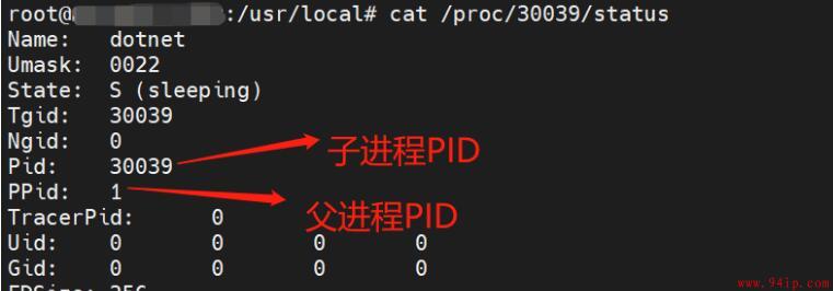 linux系统有的进程kill不掉怎么办？