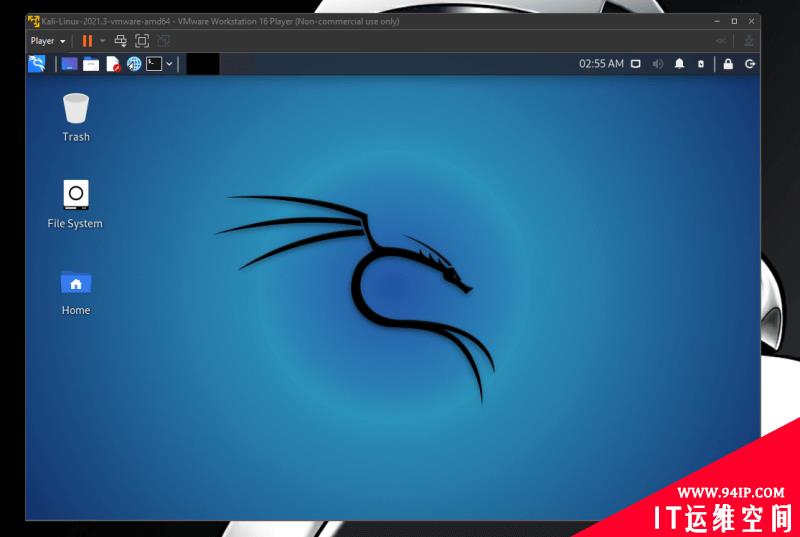 如何在 VMware 中安装 Kali Linux