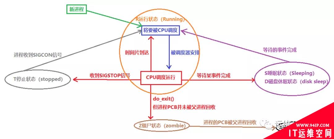 聊聊容器与pod中的僵尸进程