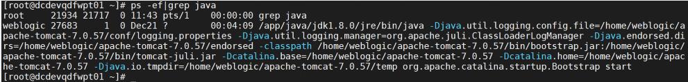 分享一个超实用的中间件ApacheTomcat漏洞升级方案