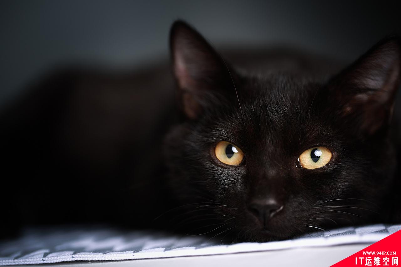复杂危险的勒索软件 BlackCat 或将开启新的攻击模式