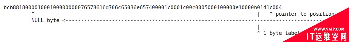 Nginx暴露危漏洞CVE-2021-23017