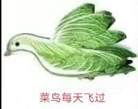 小白帽从病毒视角聊企业安全建设